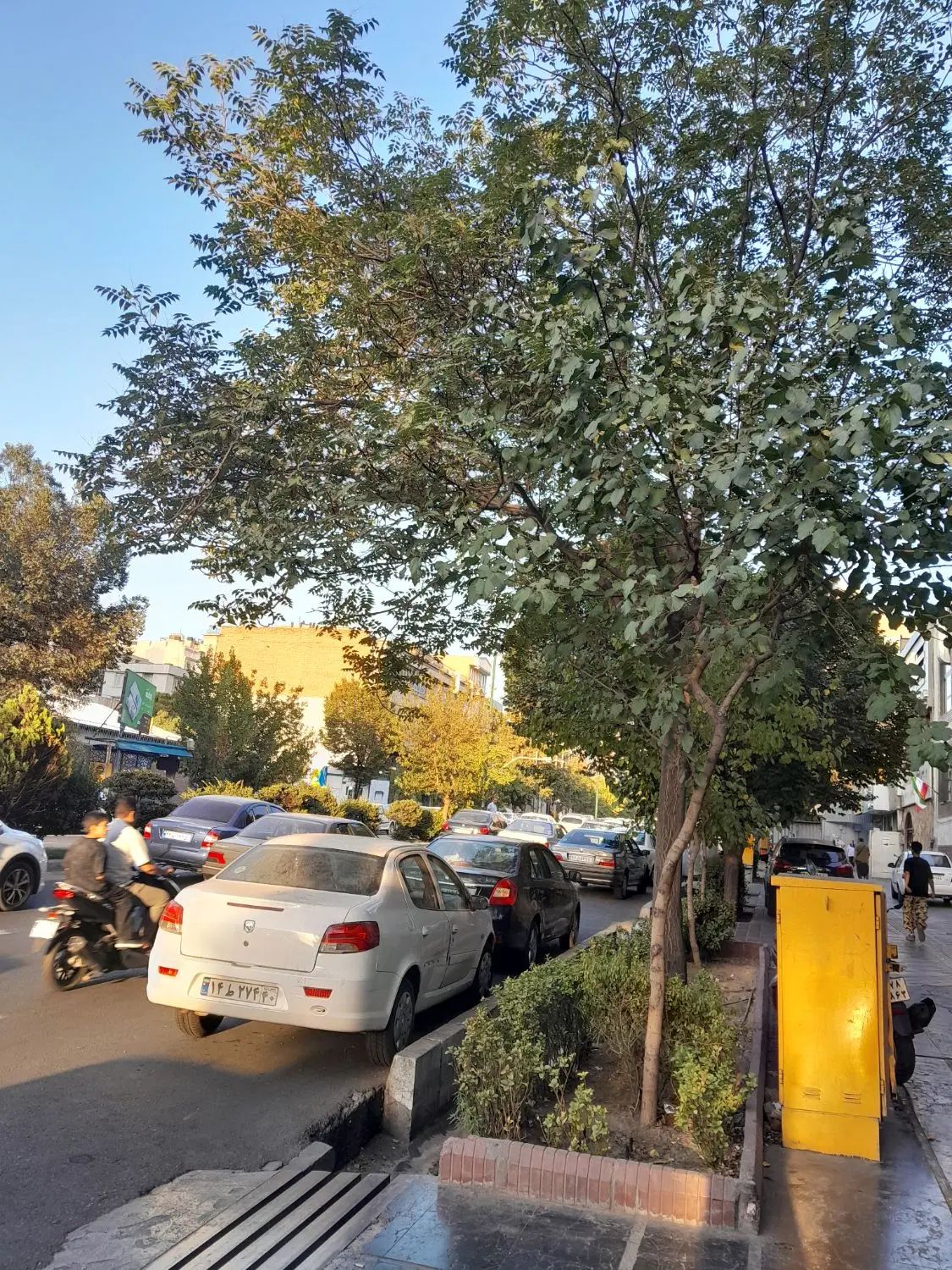 ۲خواب ۸۵متری فول فلکه اول بر اصلی گلبرگ رشید|اجارهٔ دفتر کار، اتاق اداری، مطب|تهران, تهران پارس|دیوار