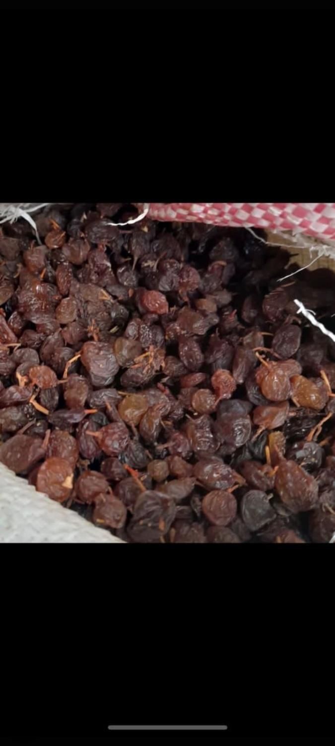 فخری|خوردنی و آشامیدنی|کرج, احدآباد|دیوار