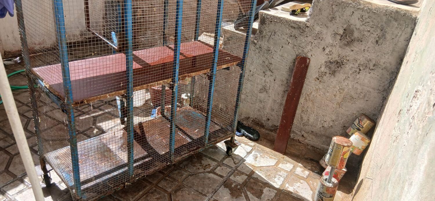 قفس سالم و تمیز .و دو طبقه  و چرخ دار|پرنده|شیراز, سعدیه شمالی|دیوار