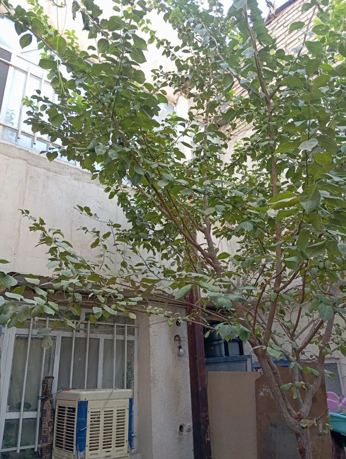 تصویر 7