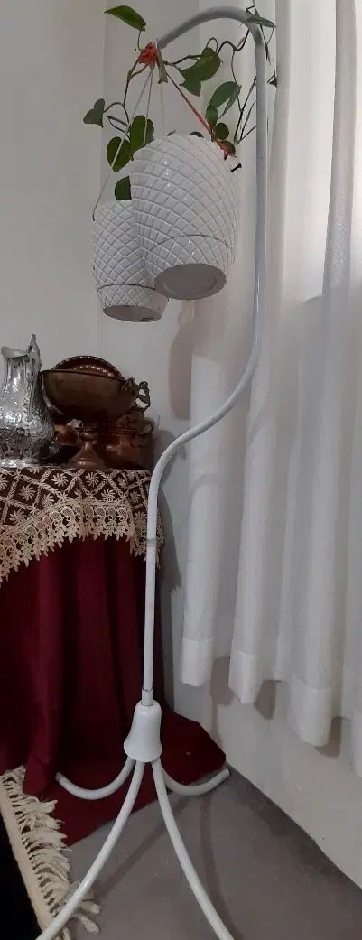قفس پرنده سالم و تمیز|لوازم جانبی حیوانات|مشهد, رسالت|دیوار
