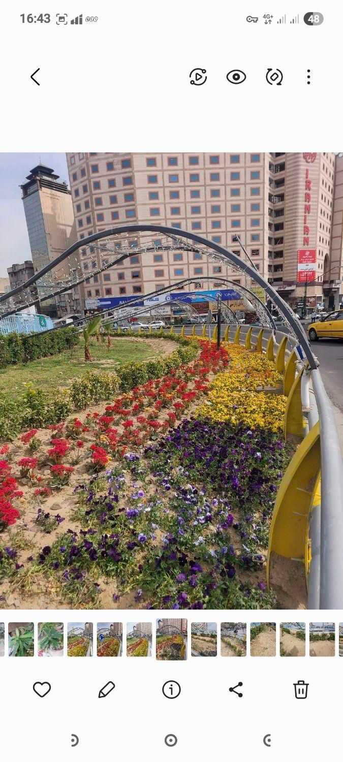 طراحی فضای سبز و خدمات باغبانی|خدمات باغبانی و درختکاری|تهران, میدان ولیعصر|دیوار