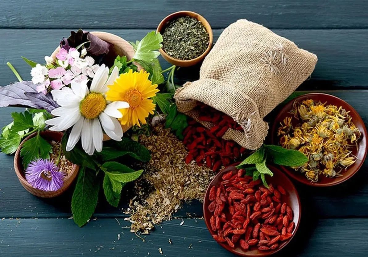 همایش آموزشی عطاری و گیاهان + مدرک معتبر|گردهمایی و همایش|تهران, نیاوران|دیوار