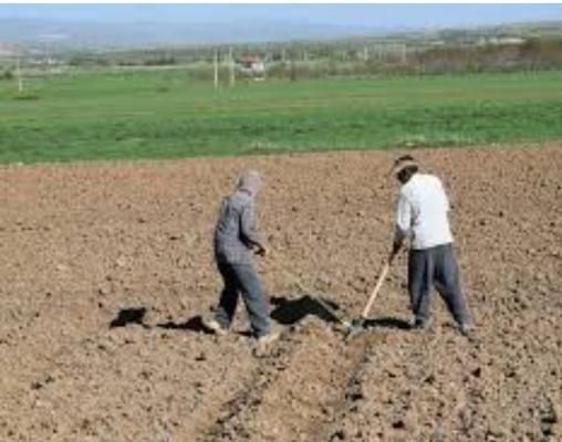 کارگرباغبانی باغ بیل زنی باغچه وعلف زنی شخم زنی|خدمات باغبانی و درختکاری|ارومیه, |دیوار