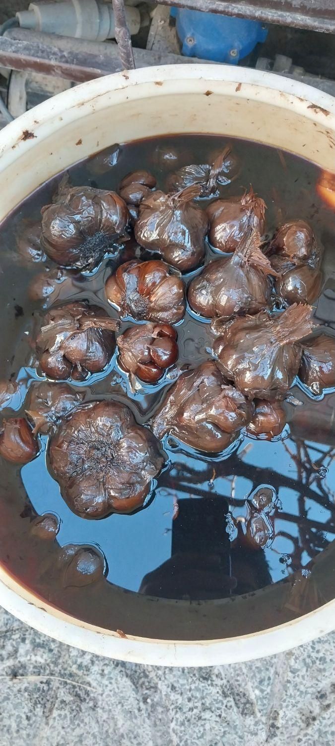 سیرترشی ۸ ساله ارگانیک تضمینی|خوردنی و آشامیدنی|کرج, آق تپه|دیوار