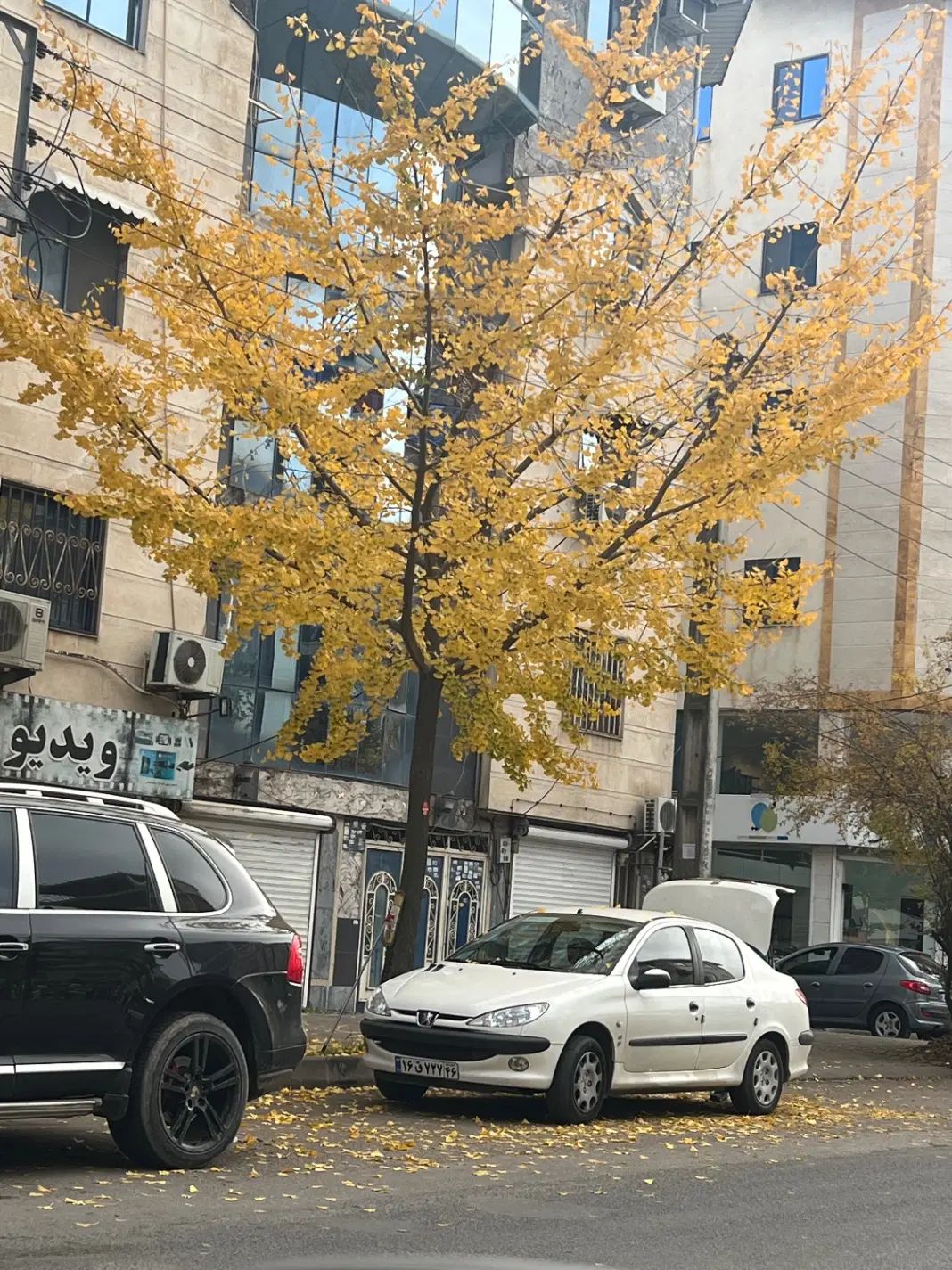 ویلایی مطهری ساغریسازان ۱۹۰متری|فروش خانه و ویلا|رشت, ساغری سازان|دیوار