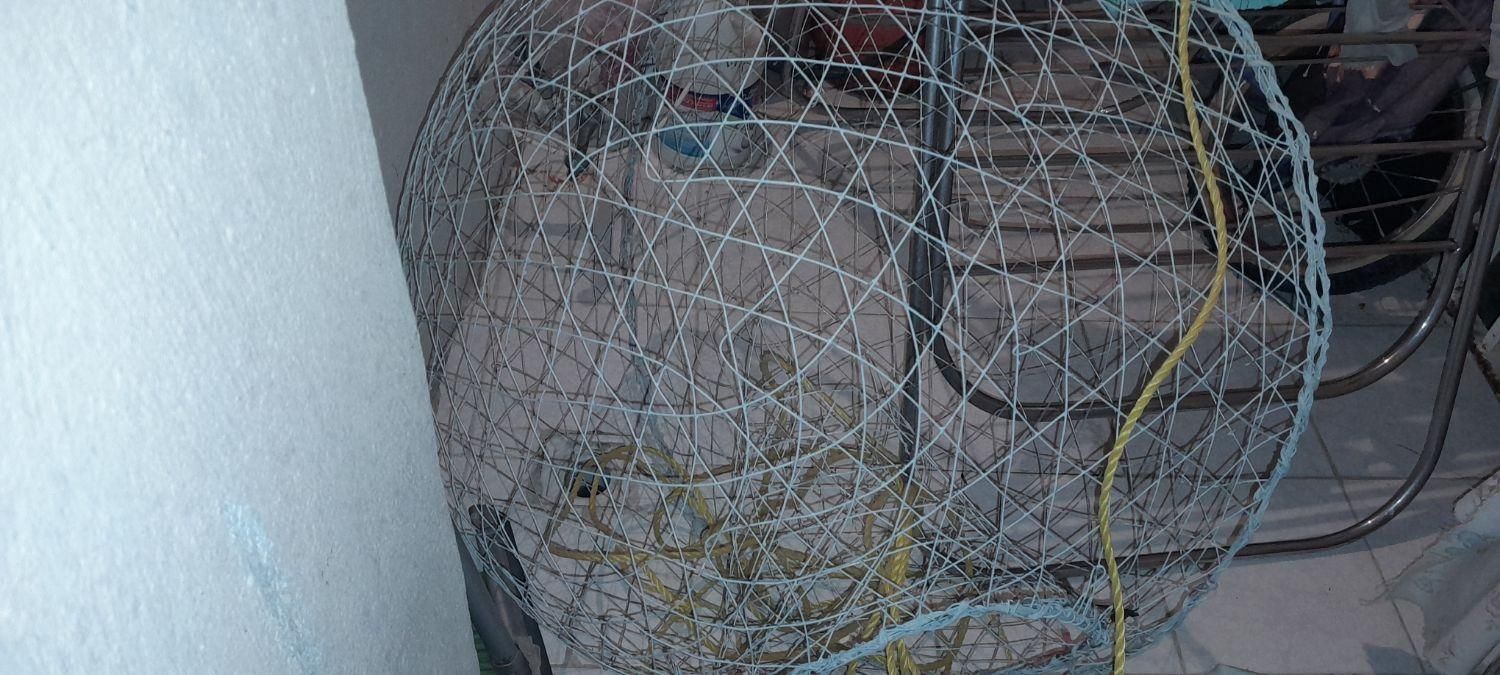 تور.  فلزی.  گرگور.  ماهی|ماهیگیری|شیراز, اصلاح‌نژاد|دیوار