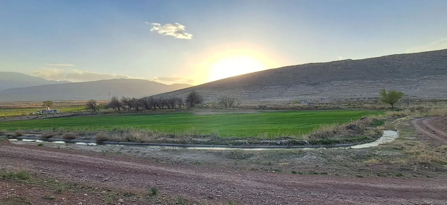 زمین زراعی با خاک حاصلخیز در روستای قره تپه|فروش زمین و ملک کلنگی|ماکو, |دیوار