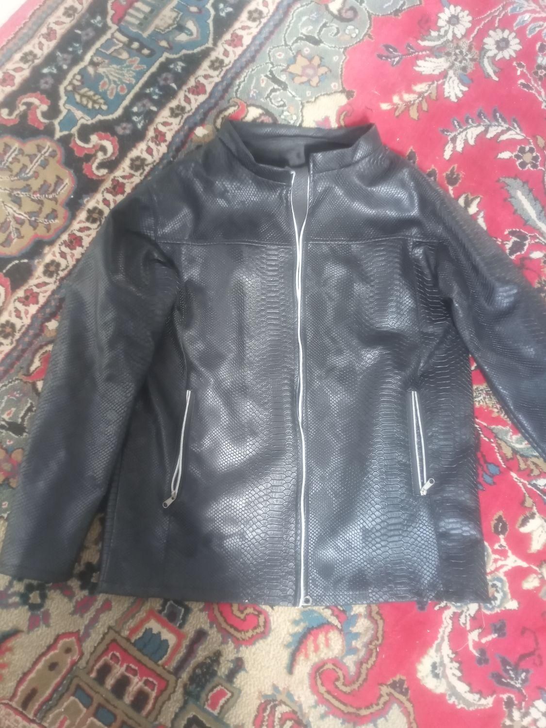 بلوز چرم|لباس|رامهرمز, |دیوار