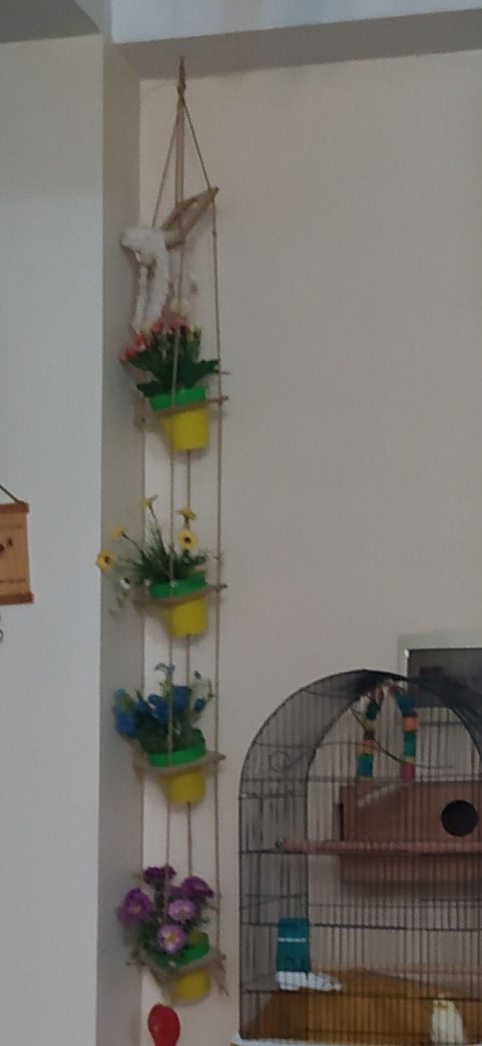 ریسه ۲۰۰ گل با گلدون ۳۰۰|گل مصنوعی|پرند, فاز ۵|دیوار