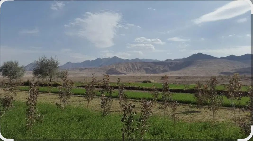 باغ 5000 متری با 45 دقیقه آب قبل از روستای عسگریه|فروش زمین و ملک کلنگی|مشهد, میان ولایت|دیوار