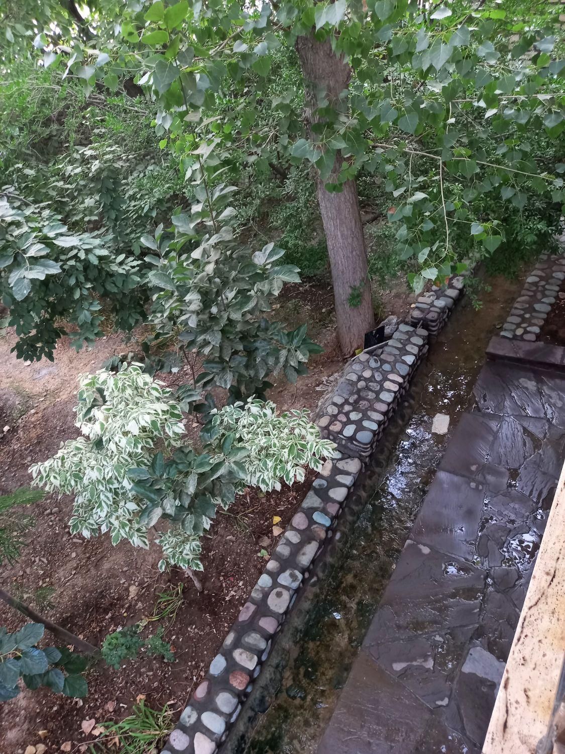 اجاره روزانه/هفتگی/ماهانه|اجارهٔ کوتاه‌مدت آپارتمان و سوئیت|کوهسار (البرز), |دیوار