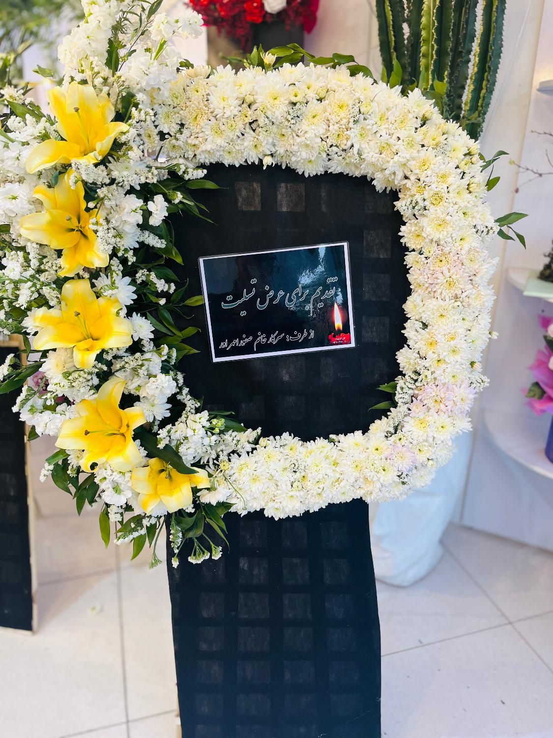 تاجگل طبیعی|گل و گیاه طبیعی|یزد, |دیوار