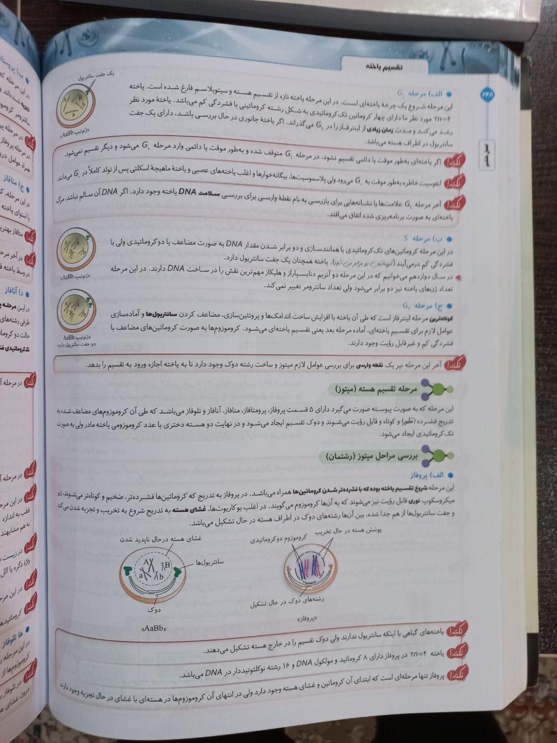 جامع زیست شناسی یازدهم|کتاب و مجله آموزشی|قم, هفت تیر|دیوار