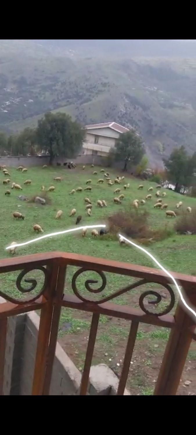 فروش یا معاوضه زمین ۲۰۰ متری|فروش زمین و ملک کلنگی|رودبار, |دیوار