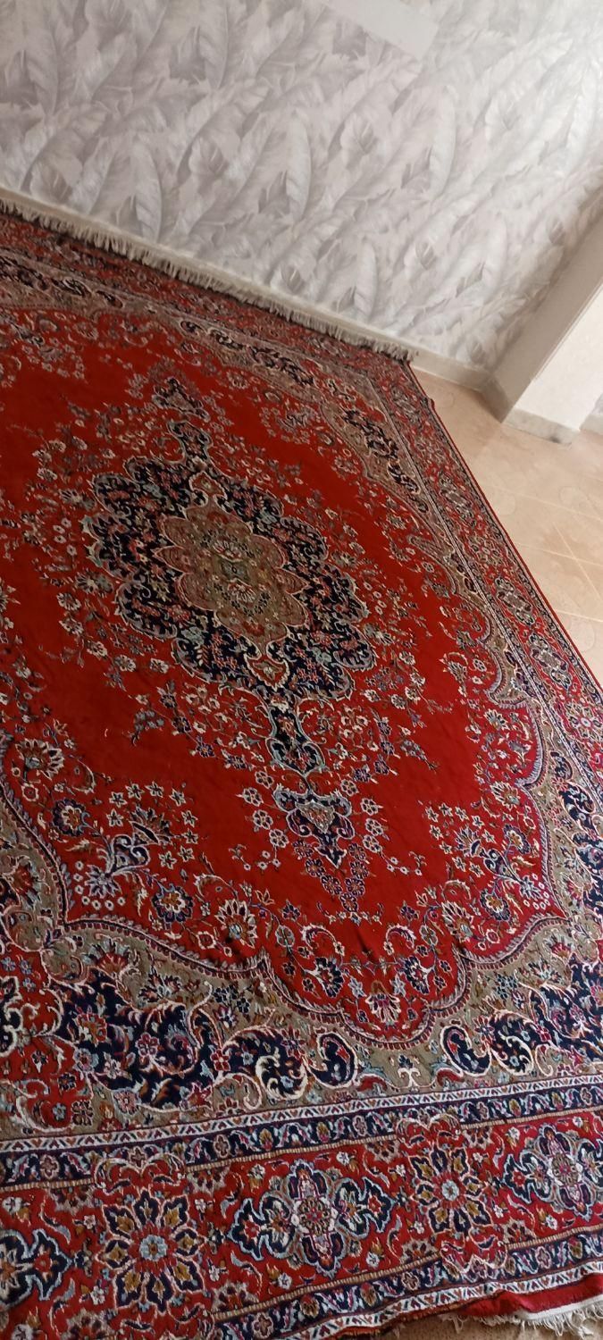 فرش 12متری|فرش|اشتهارد, |دیوار