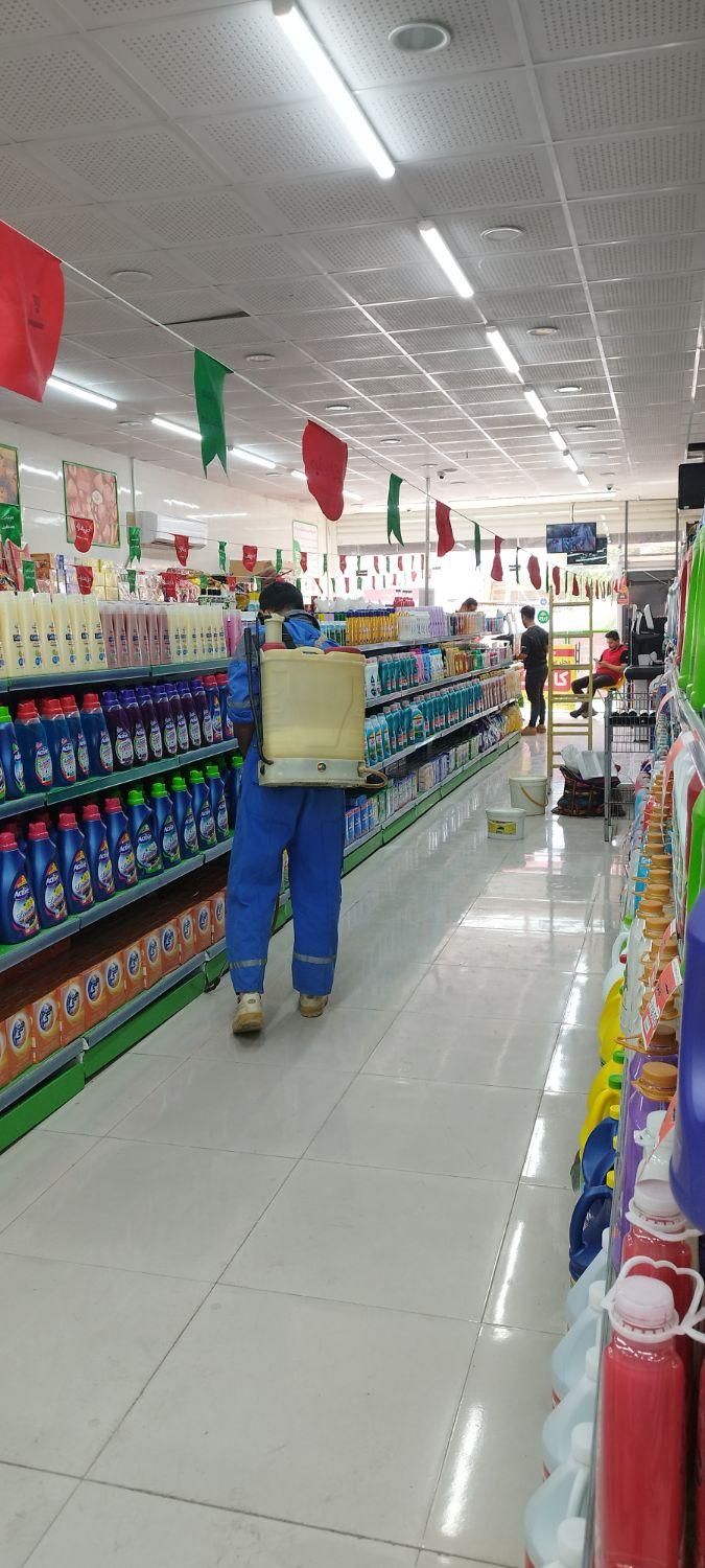 سمپاشی و موریانه زدایی بهبهان|خدمات نظافت|بهبهان, |دیوار