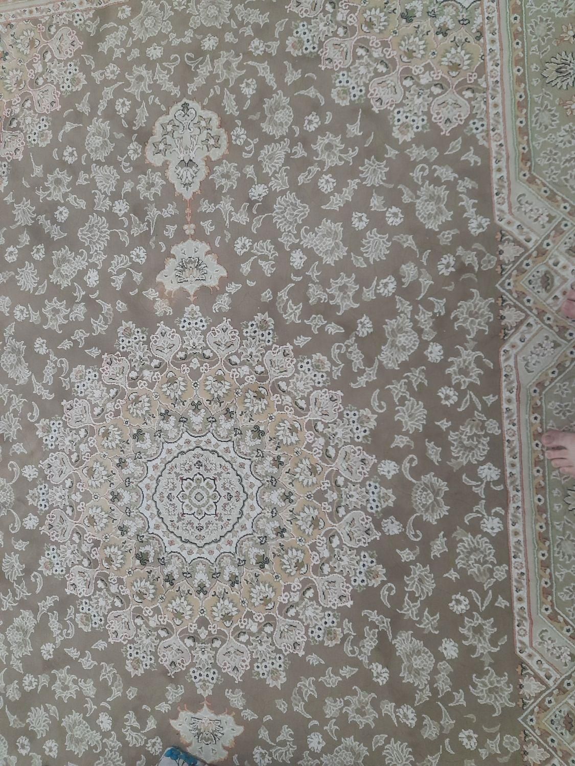 دو عدد  فرش  ۶ متری|فرش|رشت, جماران|دیوار