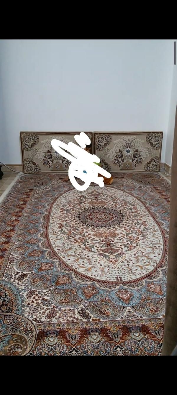 یک جفت فرش ۶متری|فرش|ابهر, |دیوار
