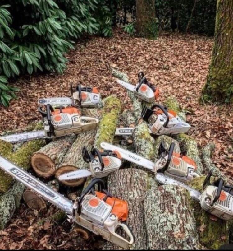 خریدار انواع درخت وچوب،هرس و برش با اره بنزینی|خدمات باغبانی و درختکاری|بندرعباس, |دیوار