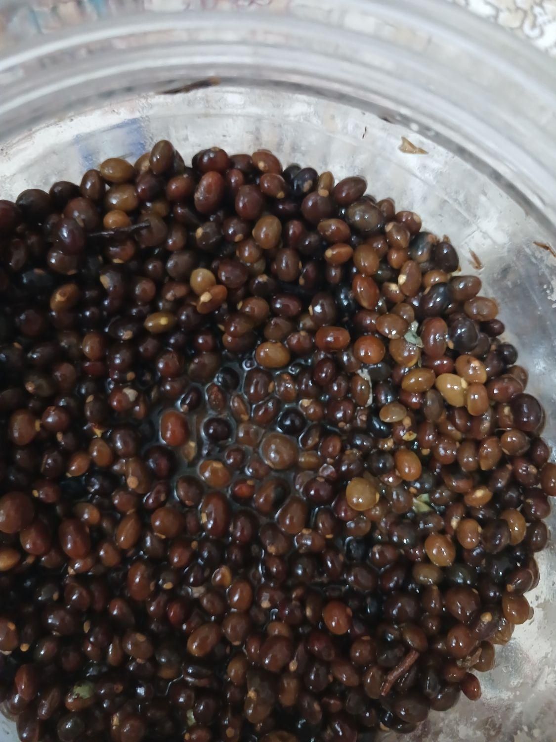 بنه شور تازه|خوردنی و آشامیدنی|مرودشت, ژیان|دیوار