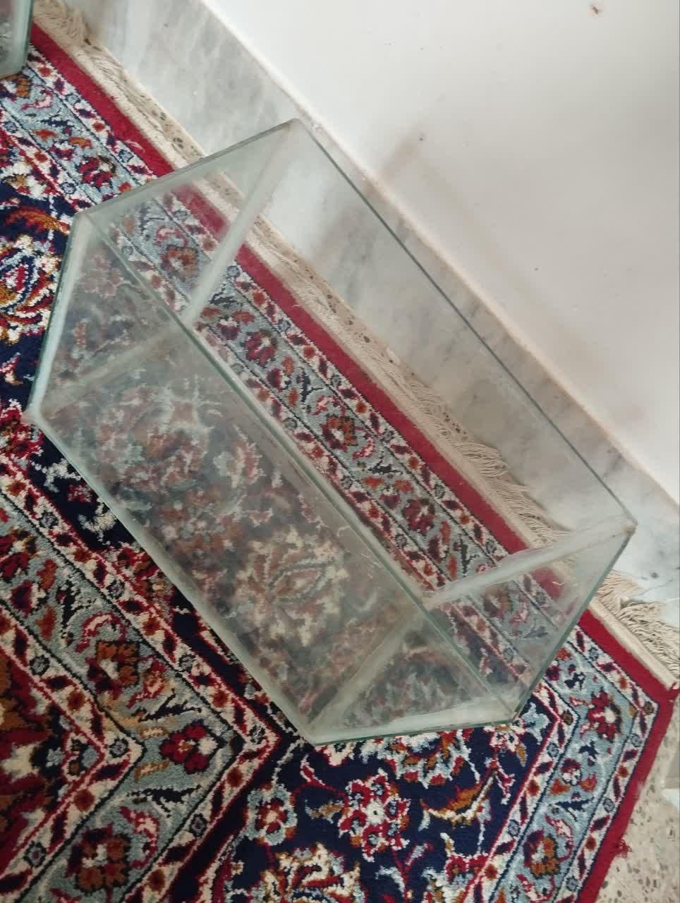 آکواریوم|ماهی|خمینی‌شهر, |دیوار