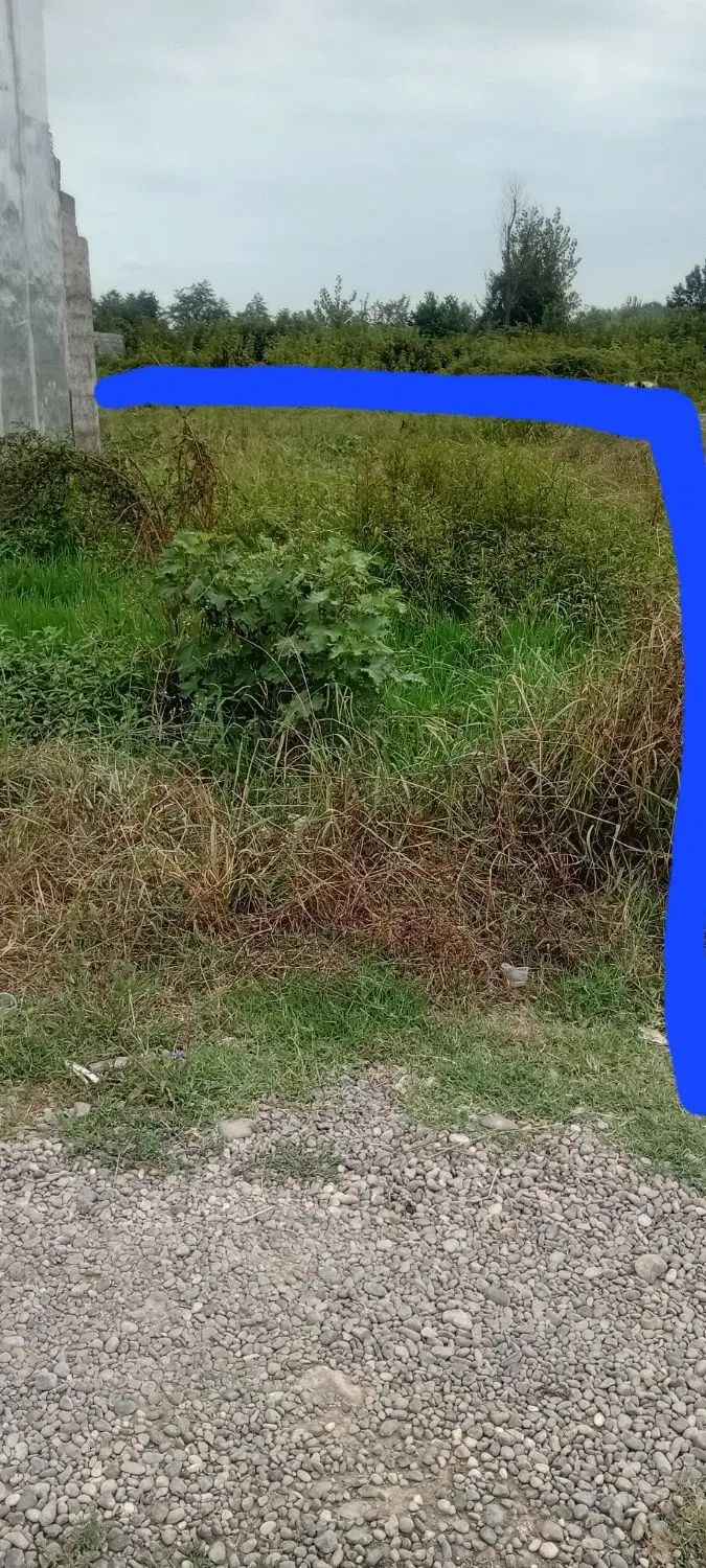 زمین ۶۰ متری دو بر|فروش زمین و ملک کلنگی|رشت, شهرک صبا|دیوار