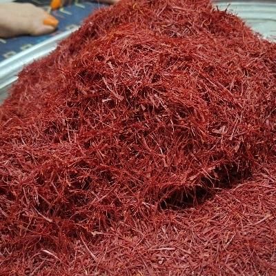 سرگل‌و دختر پیچ زعفران سرایان|عمده‌فروشی|شیراز, دانشگاه شیراز|دیوار