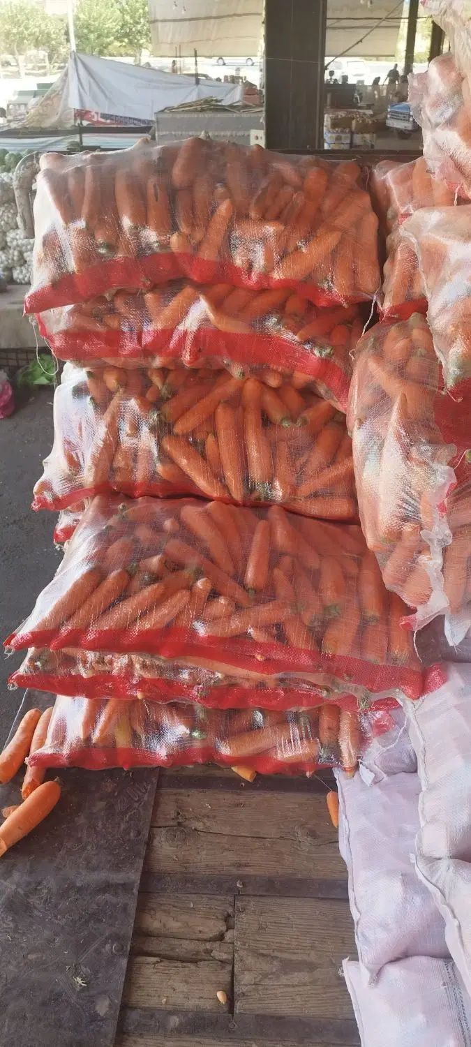 هویج عمده آبگیری مغازه درجه یک میدان تره بار مرکزی|خوردنی و آشامیدنی|تهران, میدان میوه و تره‌بار مرکزی|دیوار