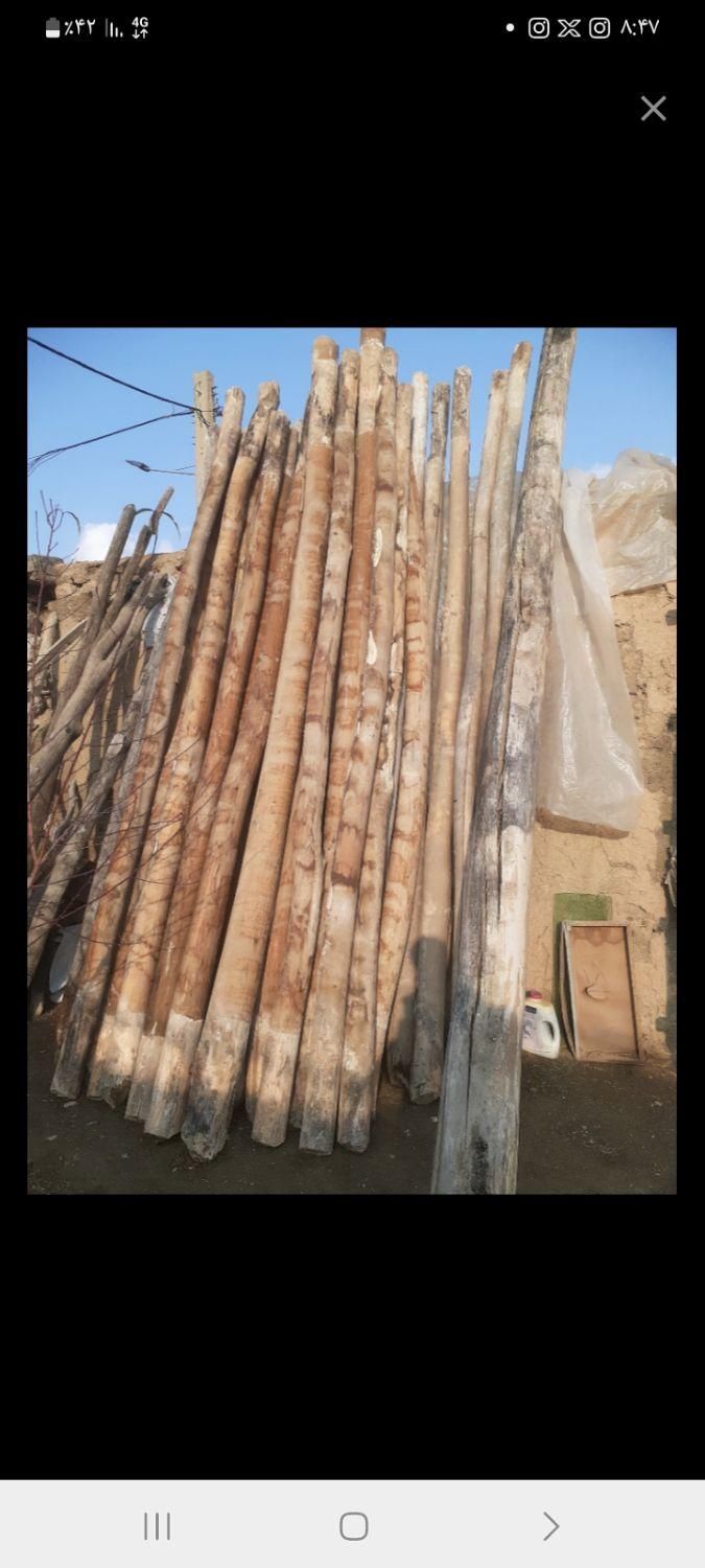 خریدار چوب تر و خشک|خدمات باغبانی و درختکاری|خرمآباد, |دیوار