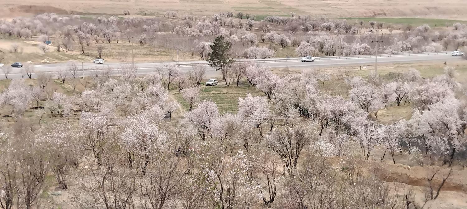 باغ ویلا 60میلیون تومان،اقساط و 100متر زمین رایگان|فروش زمین و ملک کلنگی|خمین, |دیوار