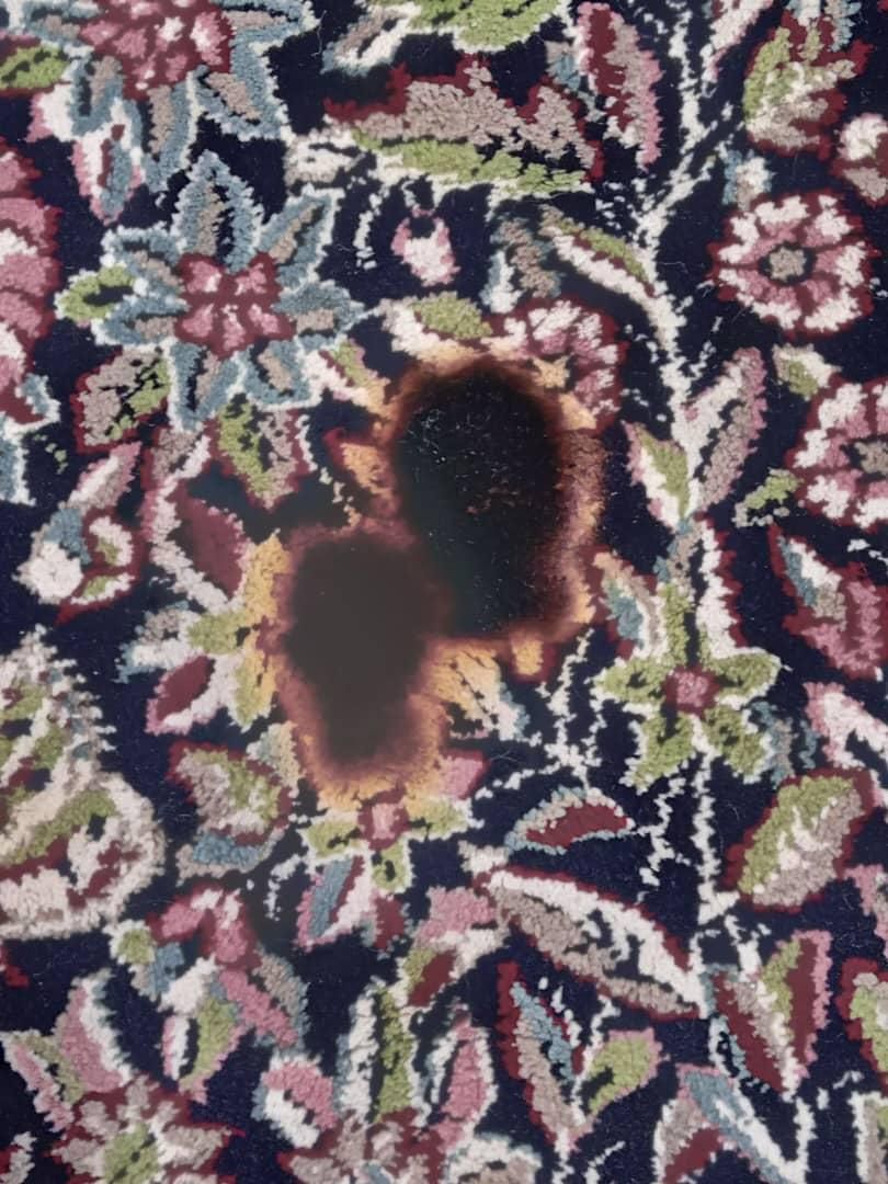 قالیشویی و مبل شویی ابریشم|خدمات نظافت|لاهیجان, لیالستان|دیوار