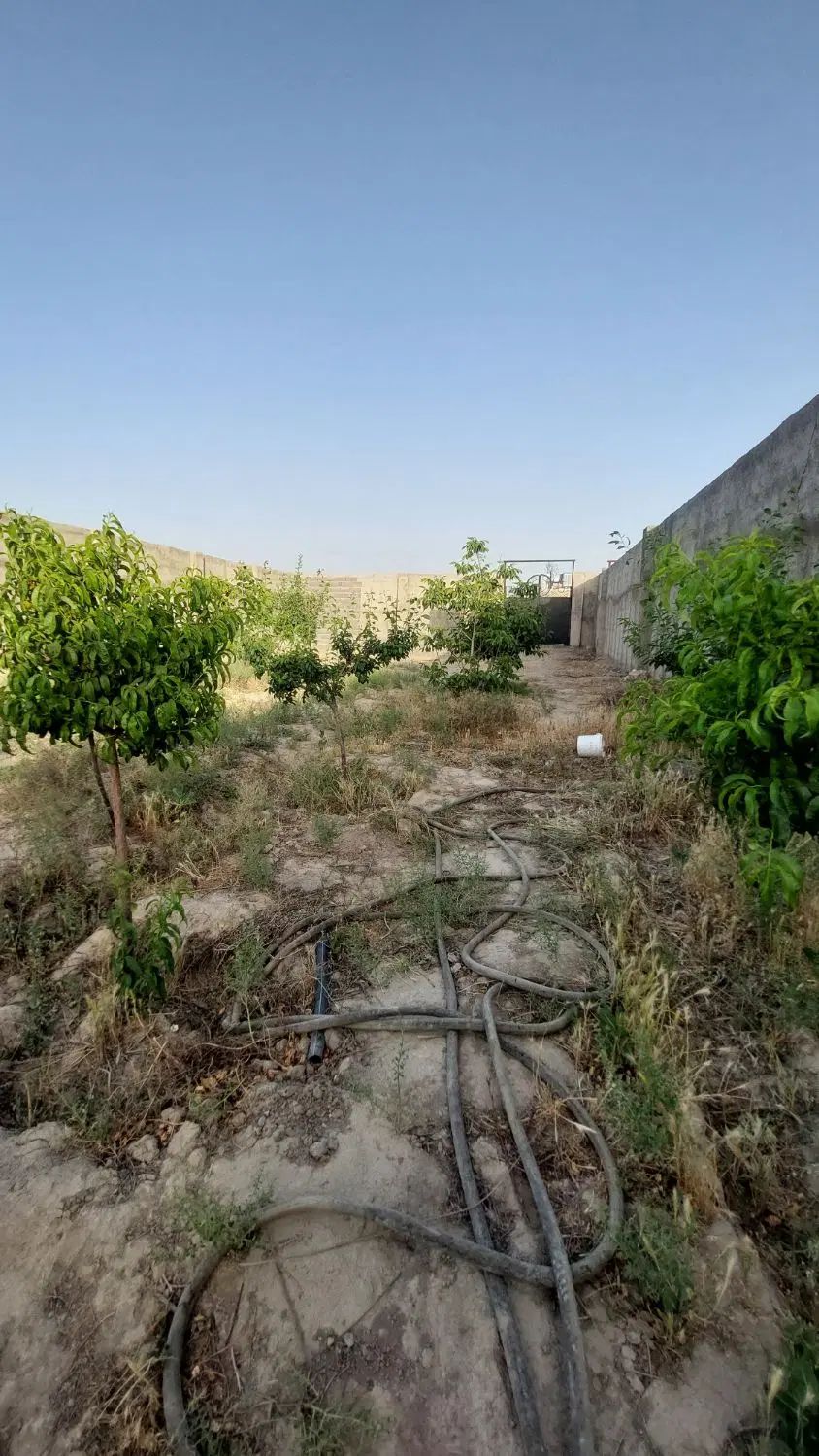 باغ چهاردیواری ۸۰۰ متر دهشاد شهریار نعمت آباد بکه|فروش دفتر صنعتی، کشاورزی، تجاری|شهریار, دهشاد بالا|دیوار