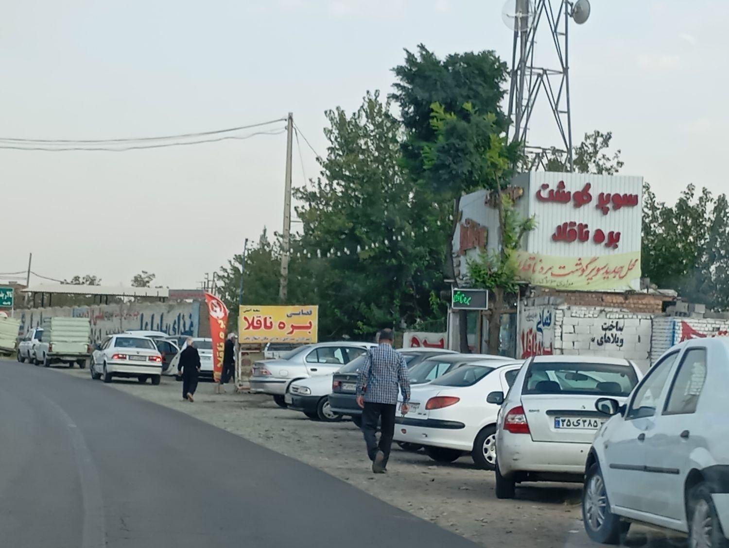 گوشت گوسفندی نرینه گرم(کالابرگ و آزاد)|خوردنی و آشامیدنی|نیشابور, فضل|دیوار