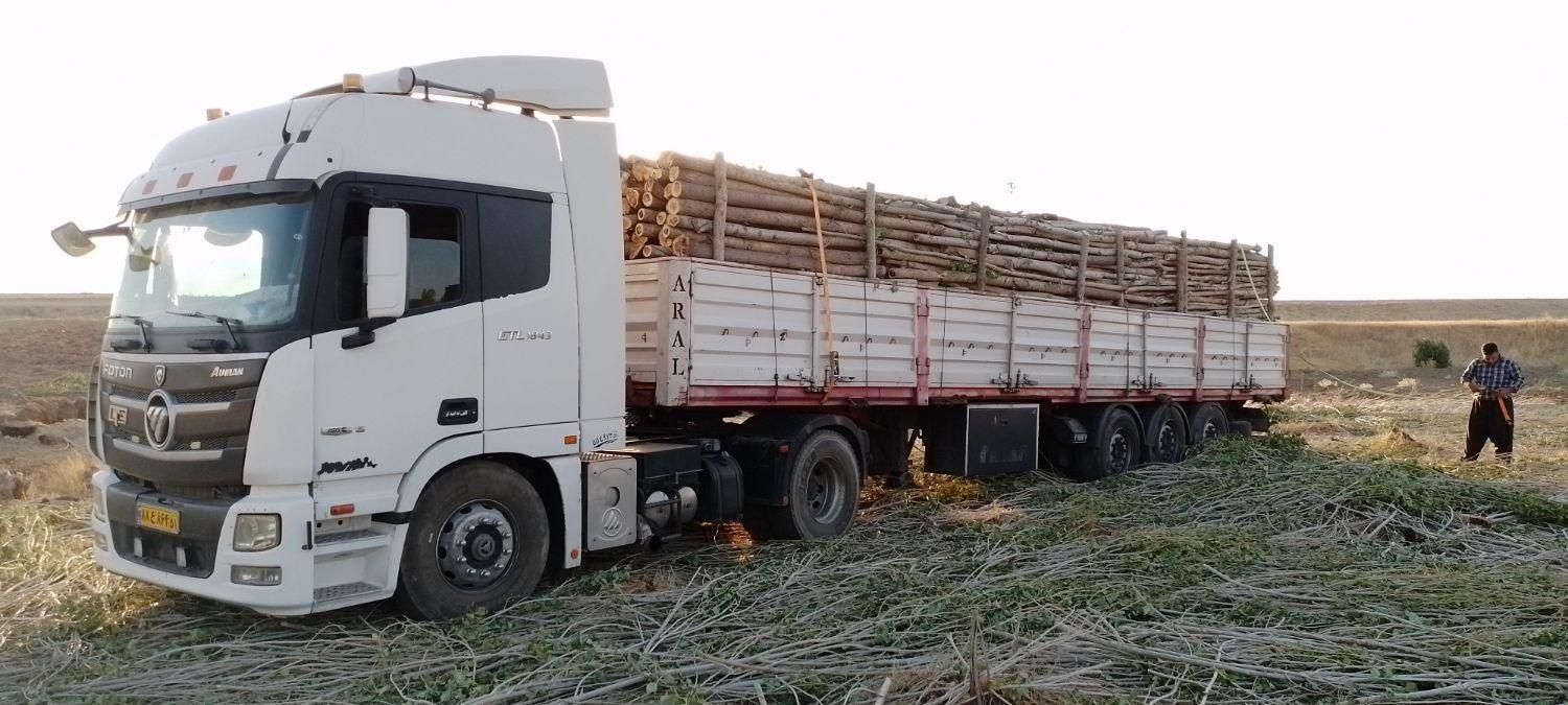 خریدار درخت|خدمات باغبانی و درختکاری|سنقر, |دیوار