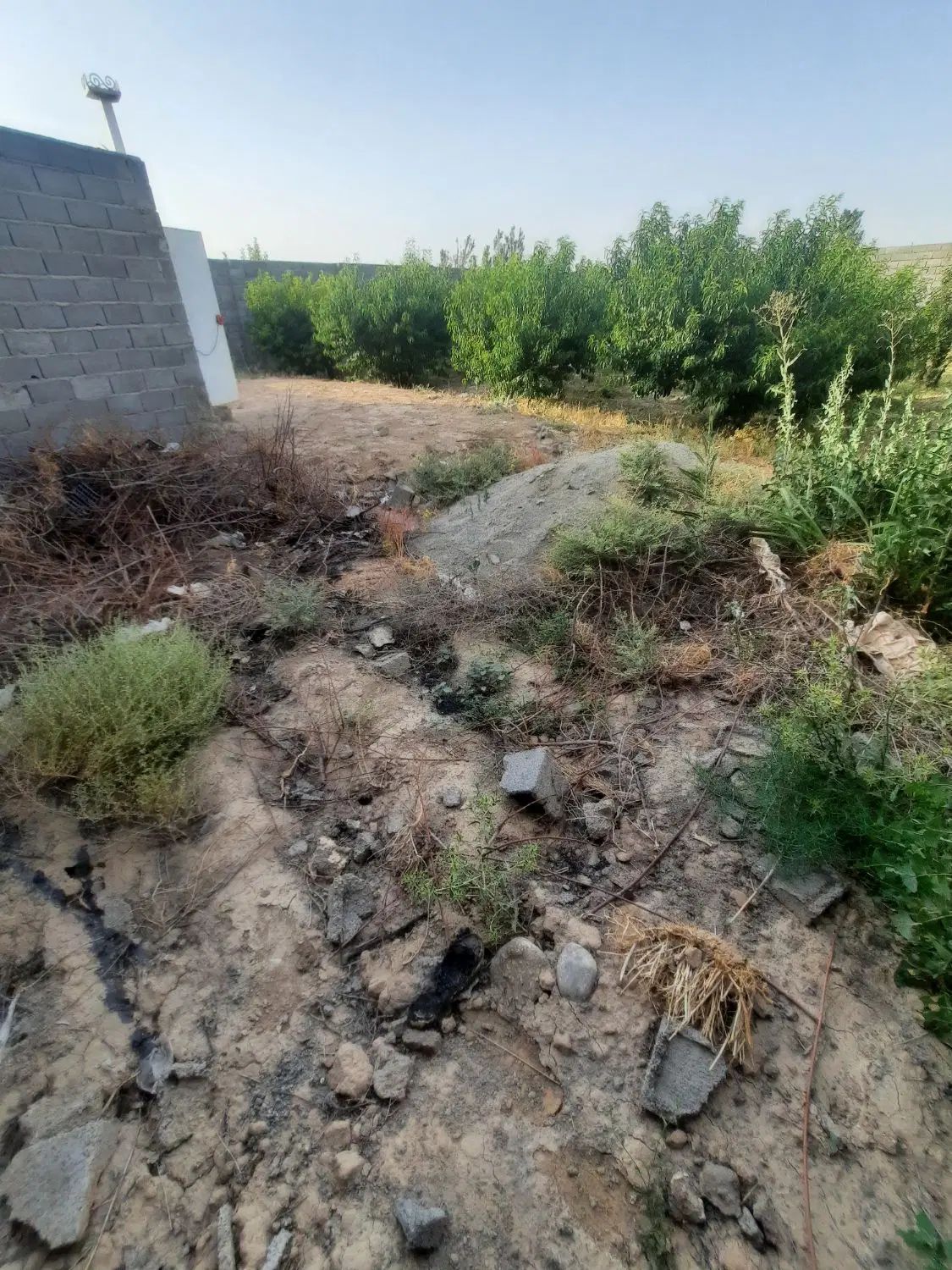 باغچه ۵۰۰متر چهاردیواری درشاهدشهر شهریار|فروش دفتر صنعتی، کشاورزی، تجاری|شاهدشهر, |دیوار