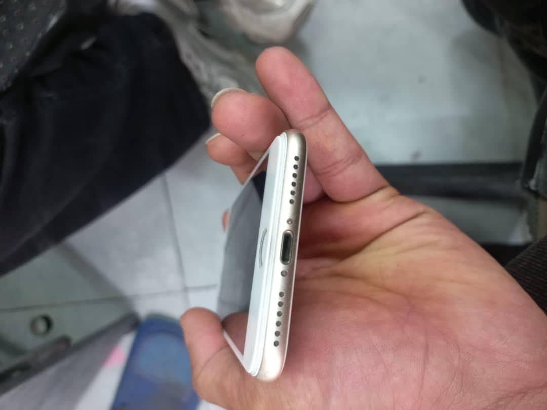 Iphone 7|موبایل|تهران, افسریه|دیوار
