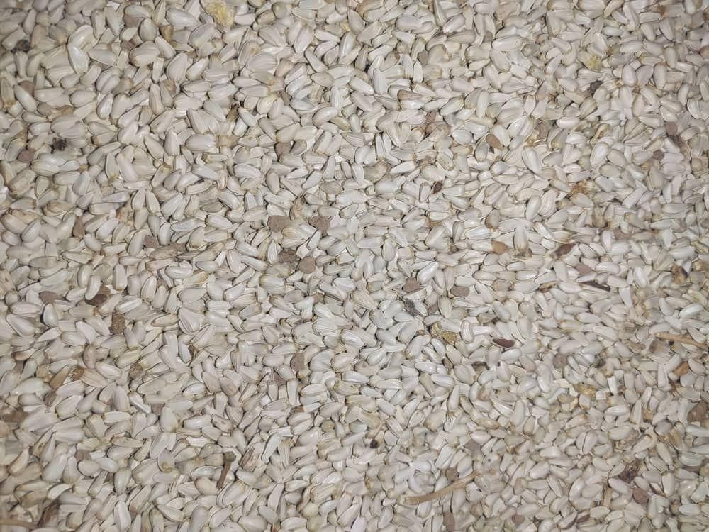 خشکبار ( گلرنگ و کوشه و تخم یونجه و ارزن )|خوردنی و آشامیدنی|اصفهان, قهجاورستان|دیوار