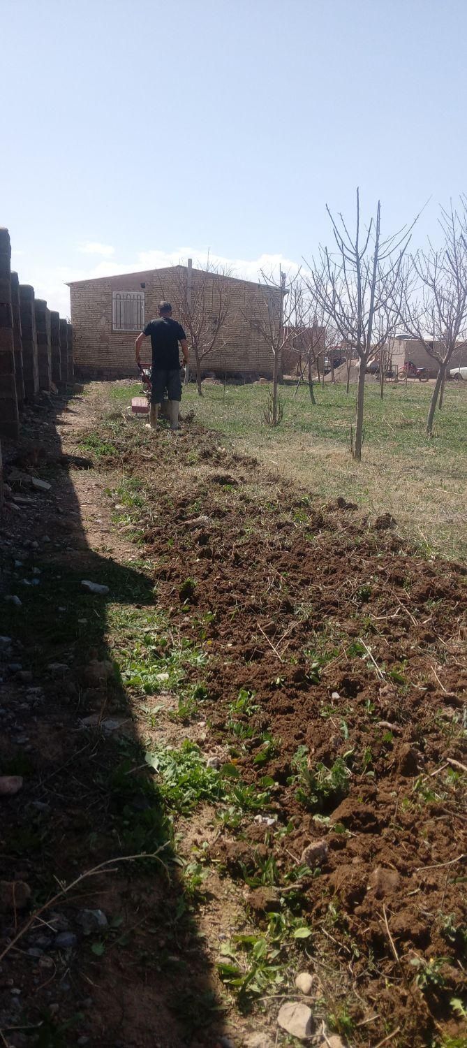 سمپاشی تیلرکمرشکن|خدمات باغبانی و درختکاری|گلبهار, بیزکی|دیوار