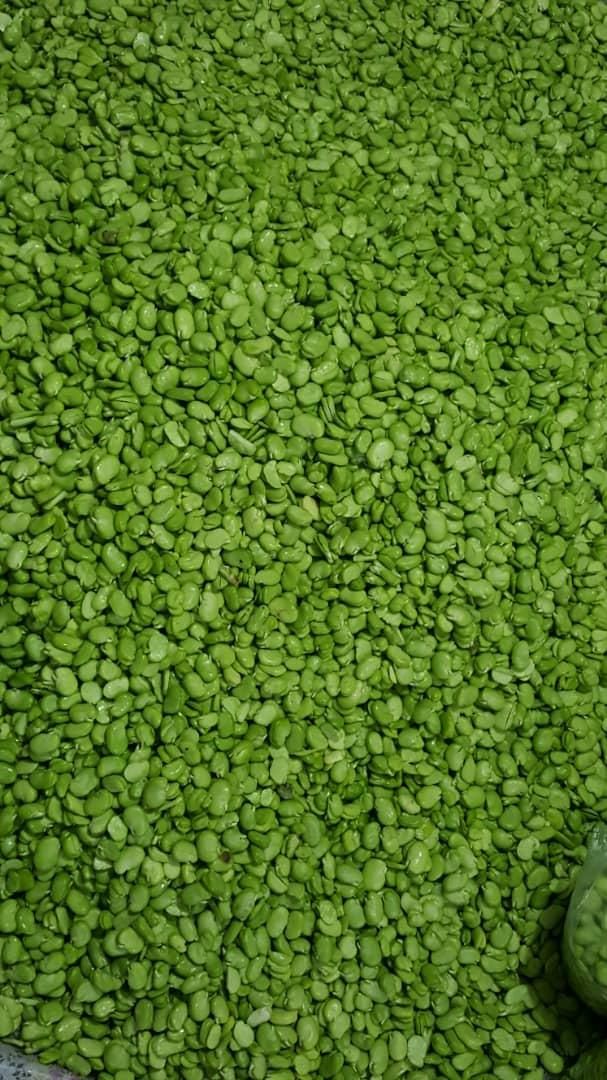 باقالی سبز و نخود فرنگی تازه و منجمد به شرط|خوردنی و آشامیدنی|تهران, مخصوص|دیوار