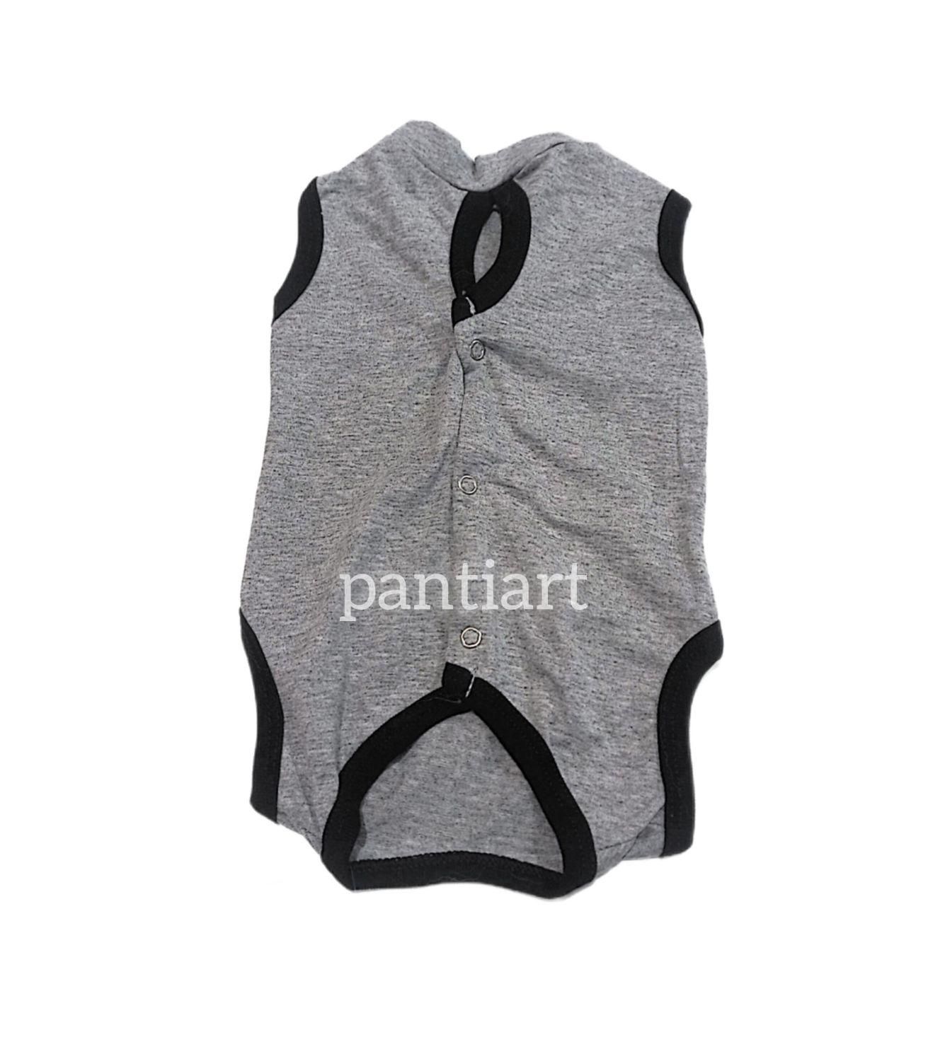 تن پوش جراحی عقیم سازی سگ و گربه|لوازم جانبی حیوانات|رشت, جهاد|دیوار