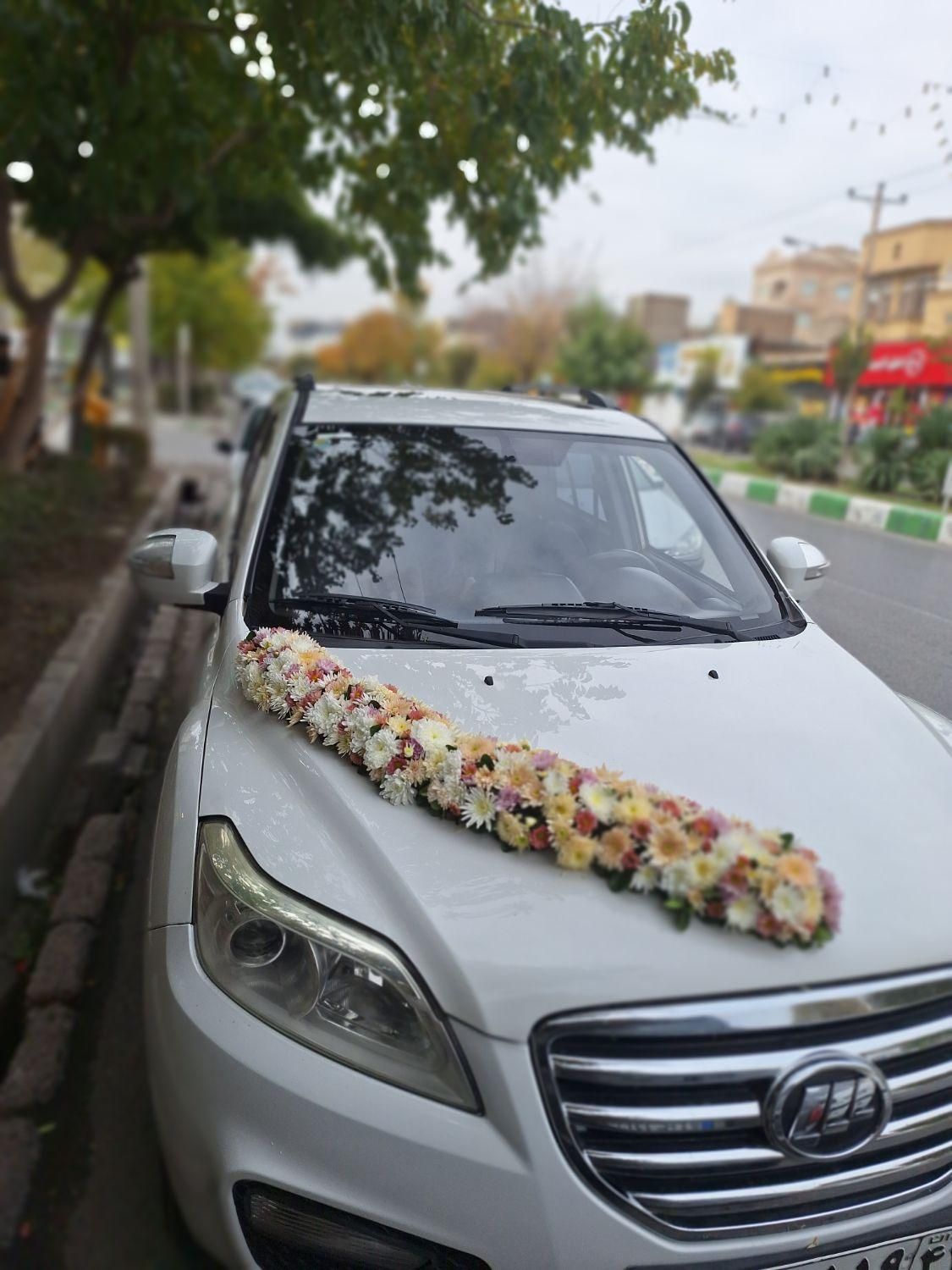 گل آرایی ماشین عروس و دسته گل عروس ویژه و اقتصادی|گل و گیاه طبیعی|مشهد, شهرک رازی (شهرک غرب)|دیوار