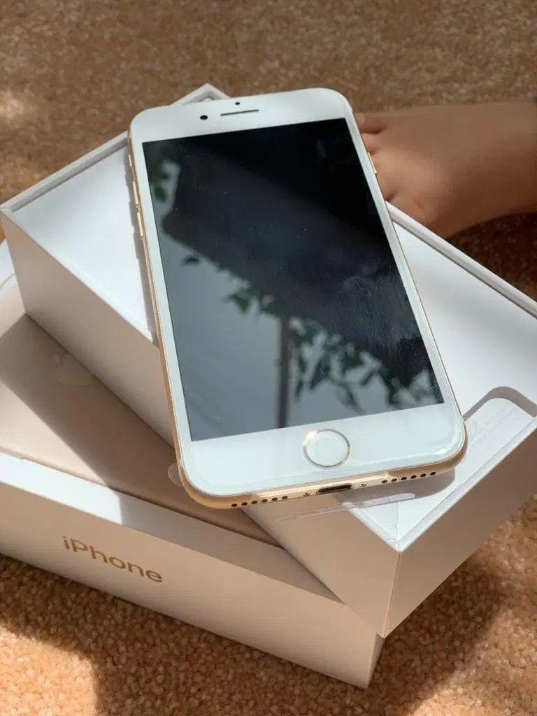 Iphone 7 128 (کاملا نو)|موبایل|تبریز, |دیوار