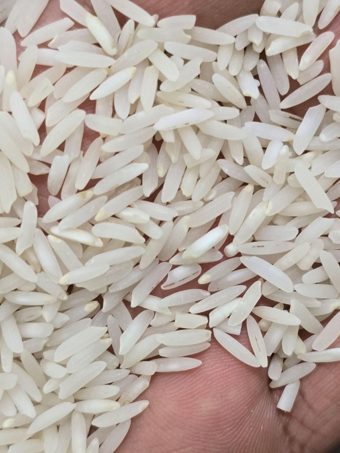 برنج سرگل شیرودی|خوردنی و آشامیدنی|تهران, گلچین|دیوار