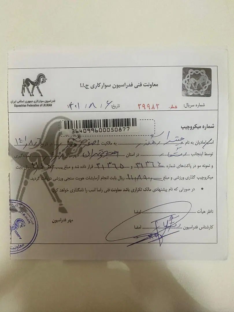 اسب ورزشی|اسب و تجهیزات اسب‌سواری|اصفهان, کوی امیریه|دیوار