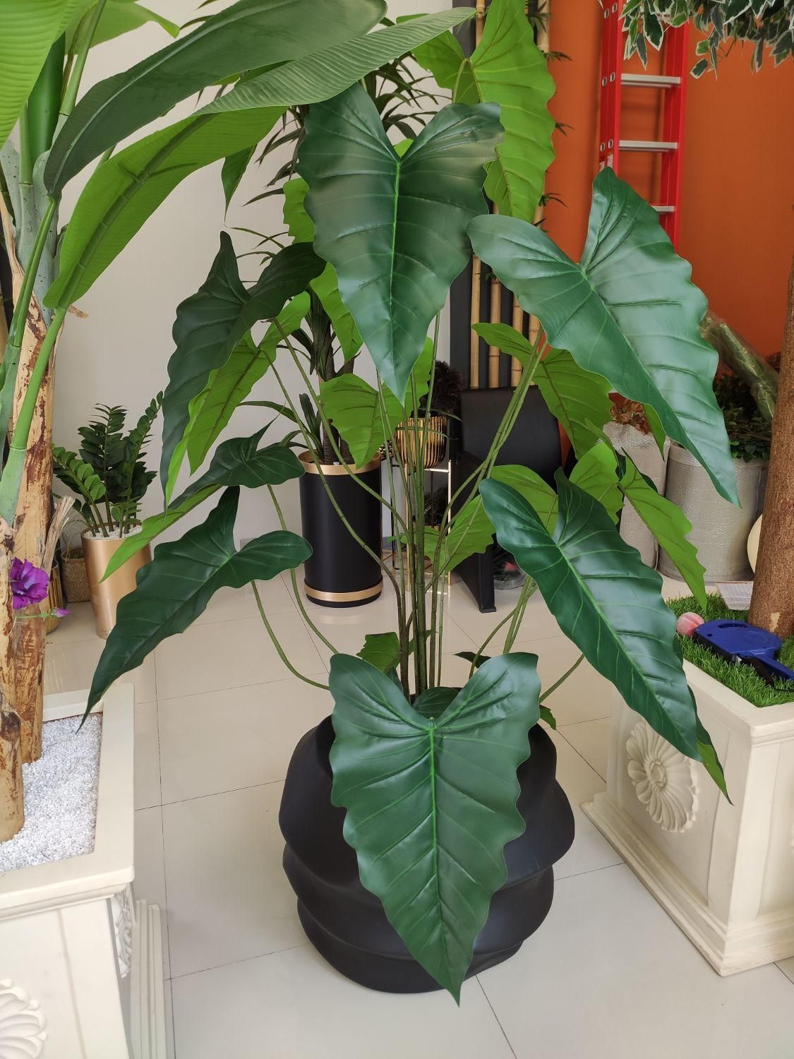 درختچه مصنوعی فروش با چک کارمندی|گل مصنوعی|اردبیل, |دیوار