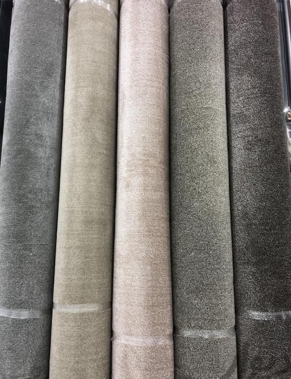 پالازموکت قاصدک موکت تندیس ۲۰۹۲|موکت|قم, شاه ابراهیم|دیوار