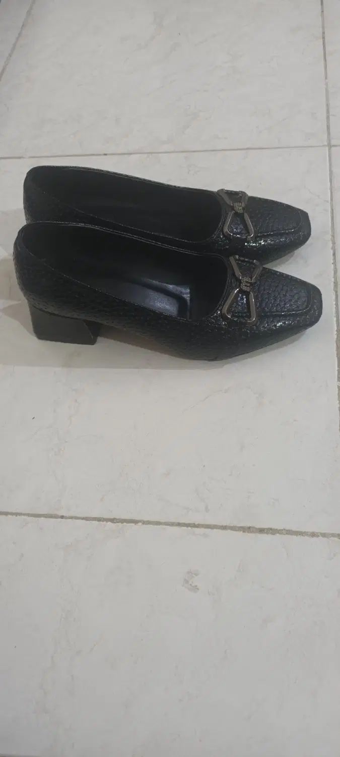 کفش|کیف، کفش، کمربند|بوشهر, |دیوار