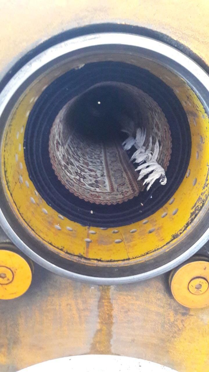 قالیشویی تمام اتوماتیک یکتا|خدمات نظافت|اراک, |دیوار