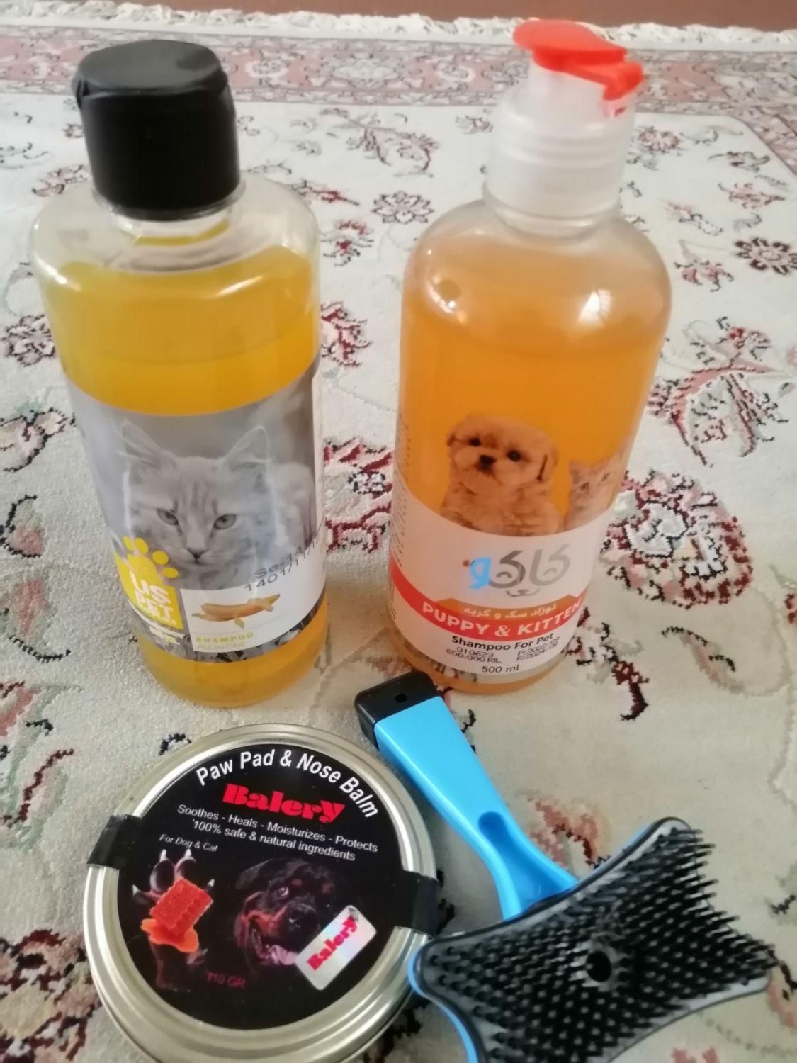 وسایل گربه|لوازم جانبی حیوانات|شیراز, شهرک گلستان|دیوار